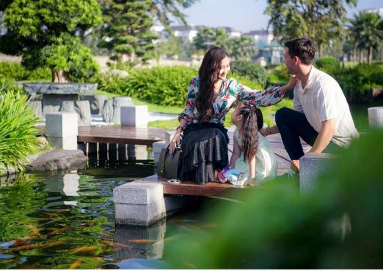 Hồ cá Koi vườn Nhật bản