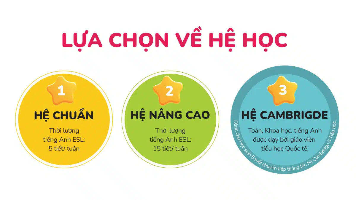 Chương Trình Học Mầm Non Vinschool Vinhomes Central Park